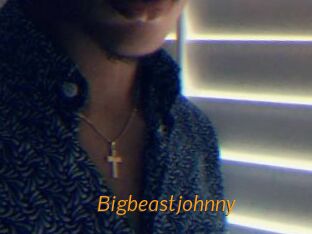 Bigbeastjohnny