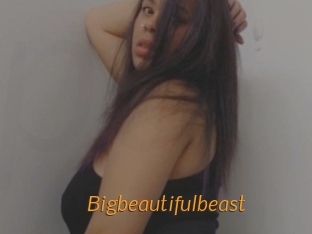 Bigbeautifulbeast