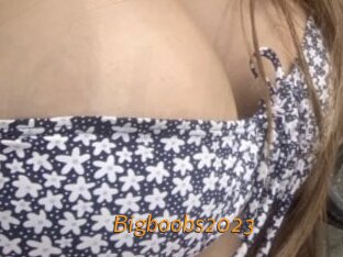 Bigboobs2023