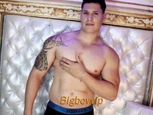 Bigboyvip