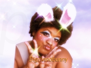 Bigcinnabunny
