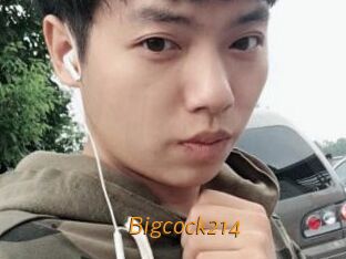 Bigcock214