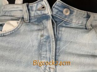 Bigcock24cm