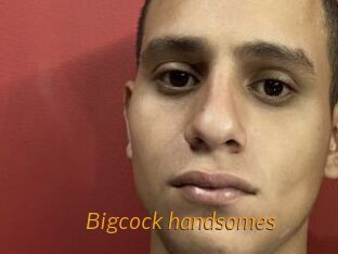 Bigcock_handsomes