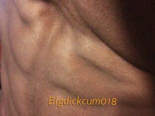 Bigdickcum018
