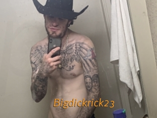 bigdickrick23 Porn University