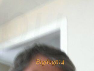 Bigdog614