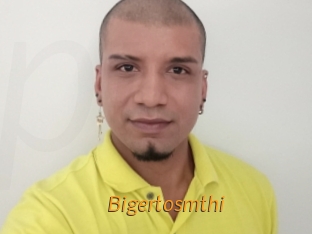 Bigertosmthi