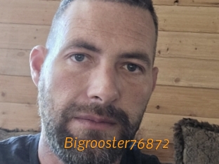Bigrooster76872