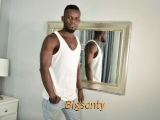 Bigsanty