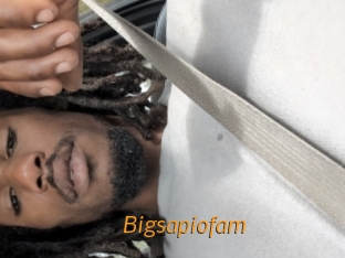 Bigsapiofam