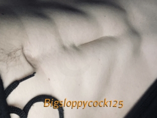 Bigsloppycock125
