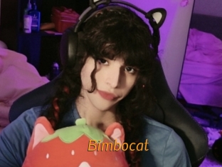 Bimbocat