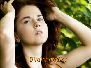 Birdinparadise