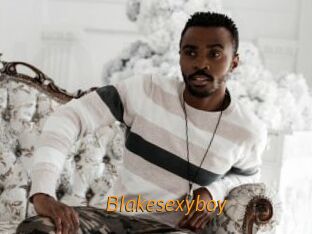 Blakesexyboy