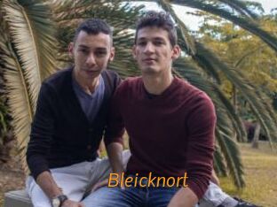 Bleicknort