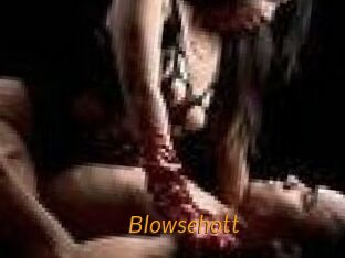 blowsehott Porn University