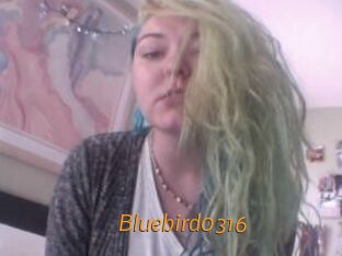 Bluebird0316
