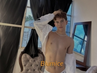 Blumice
