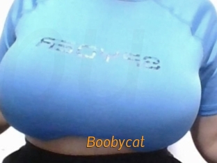 Boobycat