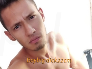 Boybig_dick22cm