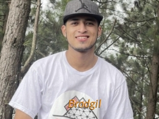 Bradgil