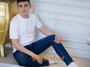 Brandonbud
