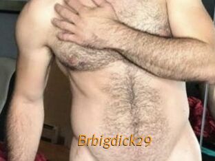 Brbigdick29