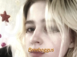 Breeboggus