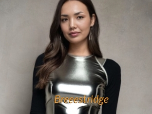 Breeestridge