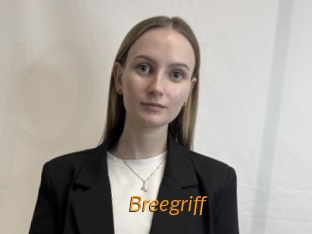 Breegriff