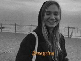 Breegrine