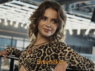 Breehakes