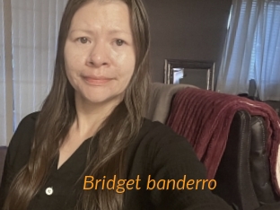 Bridget_banderro