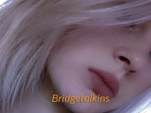 Bridgetalkins