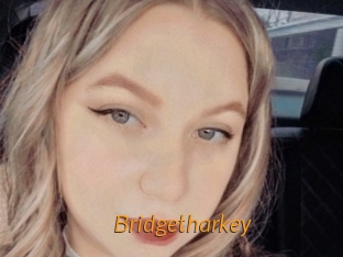 Bridgetharkey