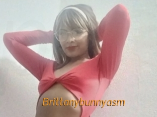 Brittanybunnyasm