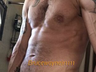 Brucewaynejr1111