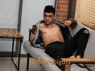 Brunhosbigass