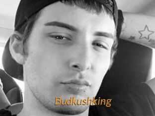 Budkushking