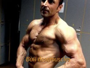 Bull_dosemuscles