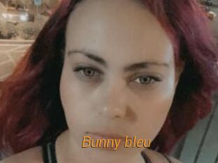 Bunny_bleu