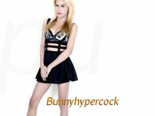 Bunnyhypercock