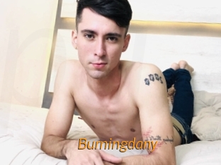 Burningdany
