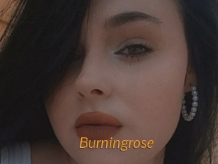 Burningrose