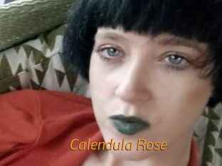 Calendula_Rose