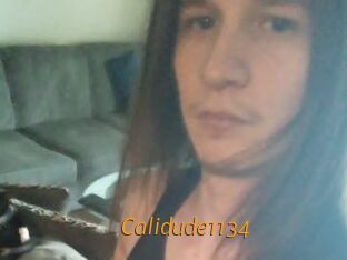 Calidude1134
