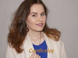 CandiceJay Porn University