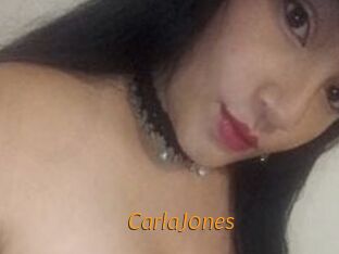 CarlaJ0nes Porn University