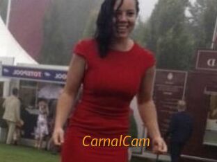 CarnalCam